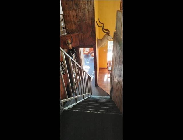 4 BEDROOM PROPERTY TO RENT IN ZEEKOEFONTEIN